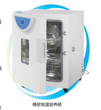 上海一恒精密恒温培养箱BPH-9402